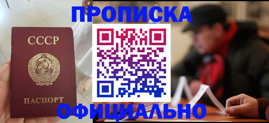 временная регистрация для школы в Жуковском